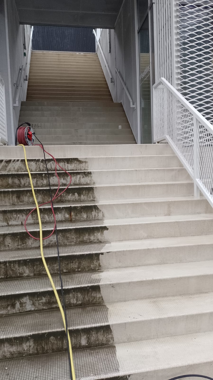 specialistische reiniging